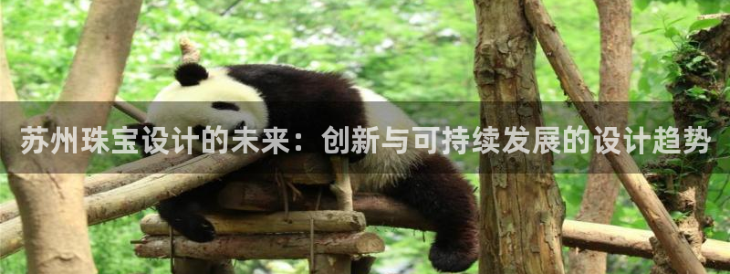 新航娱乐传媒