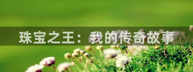 新航娱乐的最新动态报道