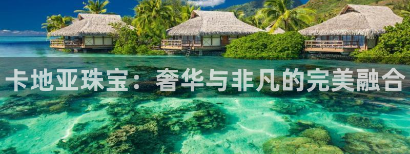 新航娱乐官方