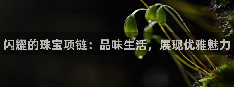 新航娱乐旗下艺人列表