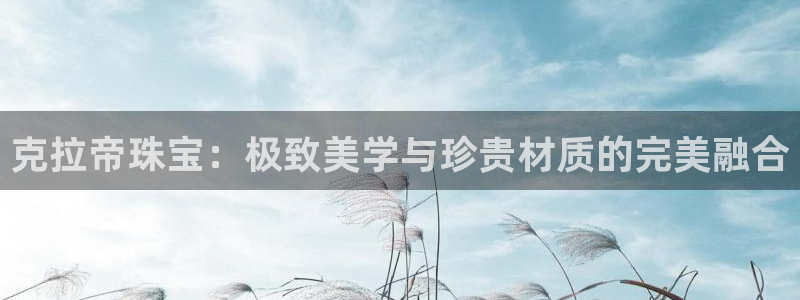 新航娱乐公司简介