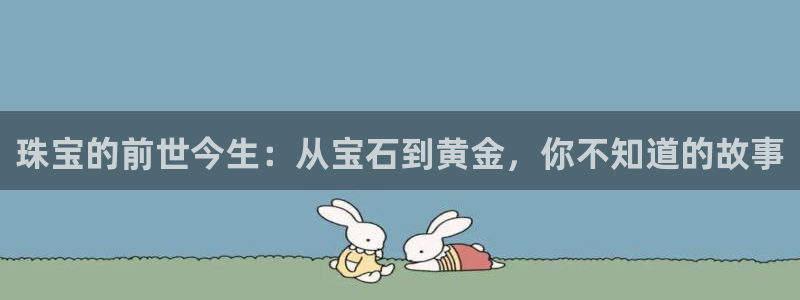 邯大新航娱乐