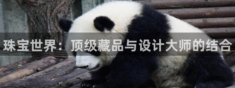 新航娱乐公司艺人