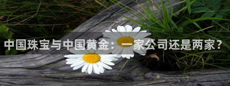 新航娱乐近期演出活动