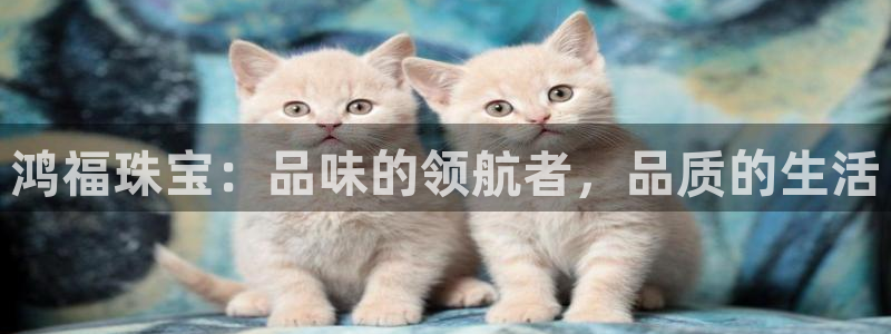 新航娱乐艺人