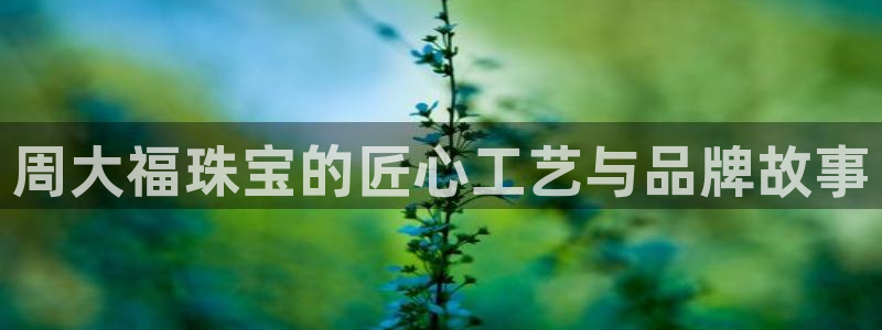 新航海娱乐会所电话地址
