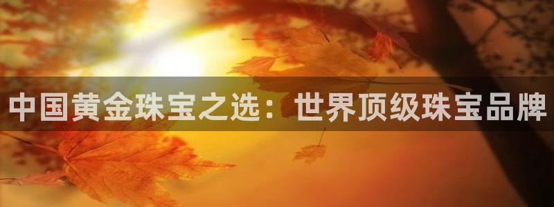 新航海娱乐会所地址查询