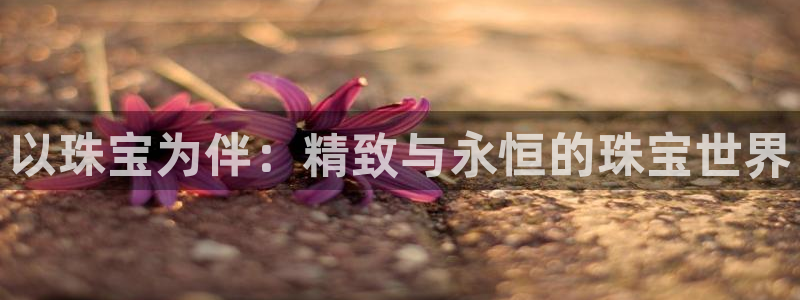 新航娱乐的创始人背景