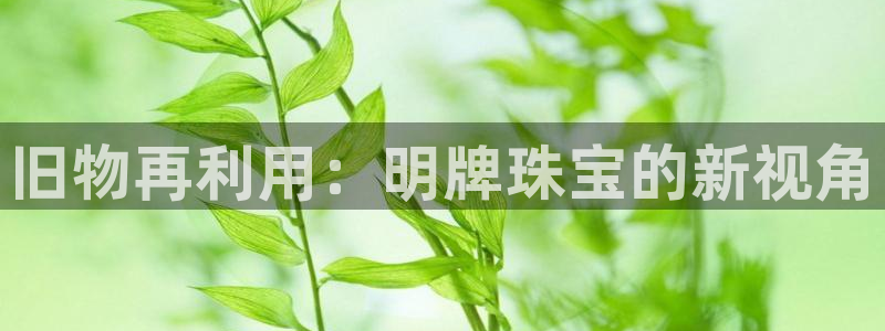 新航娱乐app下载安装