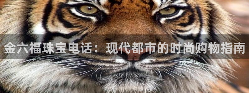 新航娱乐登陆