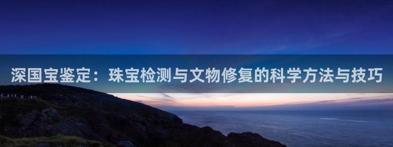 新航娱乐是干嘛的