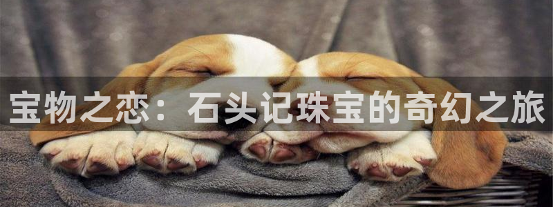 新航娱乐公司旗下艺人