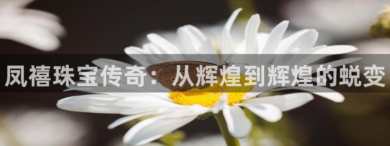 新航娱乐合法吗：凤禧珠宝传奇：从辉煌到辉煌的蜕变