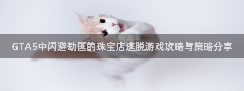 新航娱乐主管
