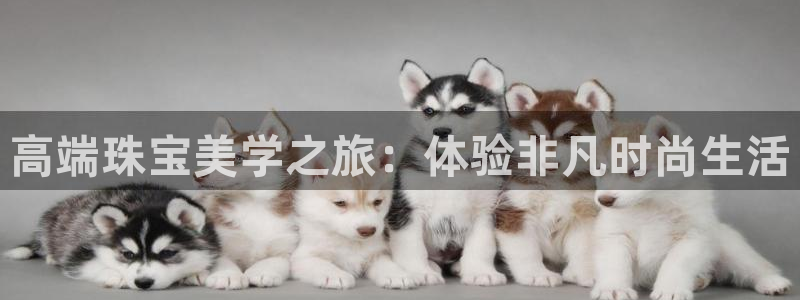 新航城娱乐传媒有限公司：高端珠宝美学之旅：体验非凡时尚生活
