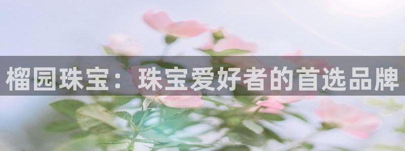 新航娱乐公司问题解决
