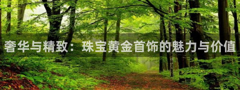 新航娱乐登录大厅：奢华与精致：珠宝黄金首饰的魅力与价值