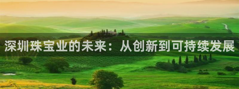 新航头等舱套房娱乐屏：深圳珠宝业的未来：从创新到可持续发展