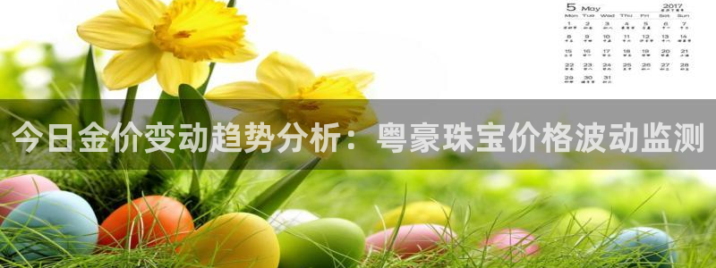 新航娱乐q