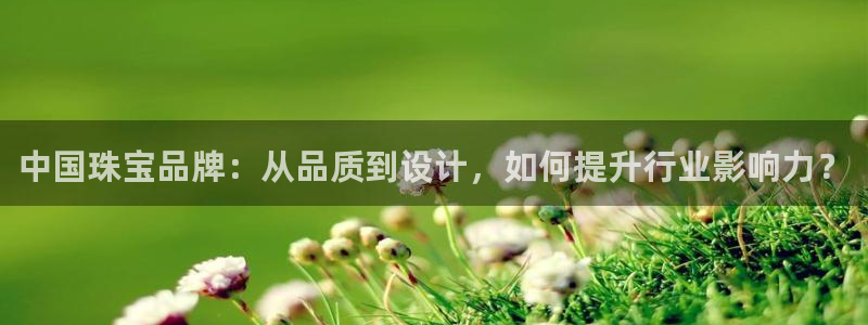 新航娱乐公司艺人招聘：中国珠宝品牌：从品质到设计，如何提升行