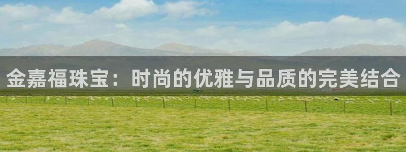 新航娱乐有限公司招聘