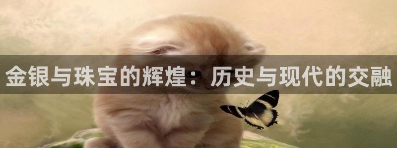 新航娱乐被投诉的原因