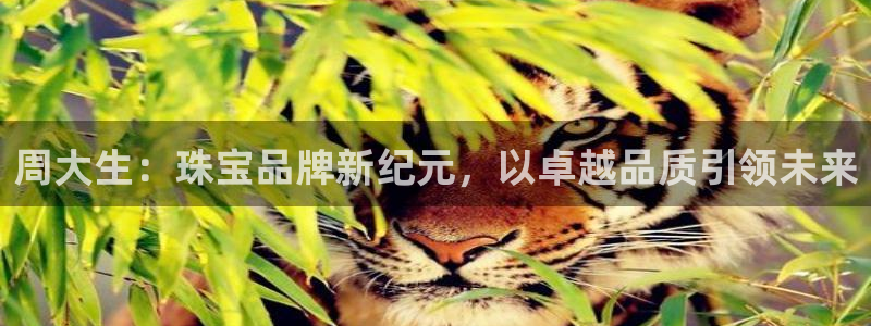 新航娱乐集团最新消息