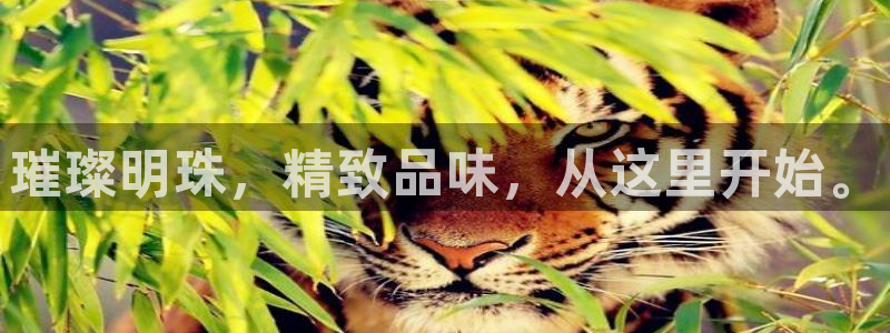 新航娱乐值得买吗