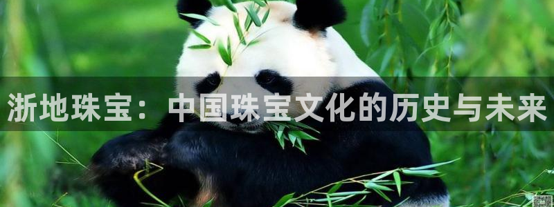 新航娱乐观