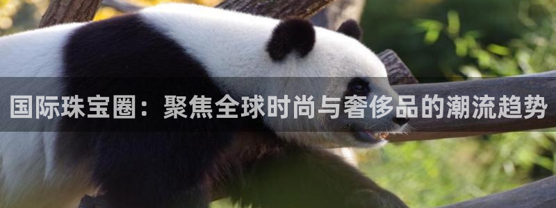 新航娱乐怎么样