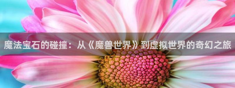 新航娱乐传媒招聘