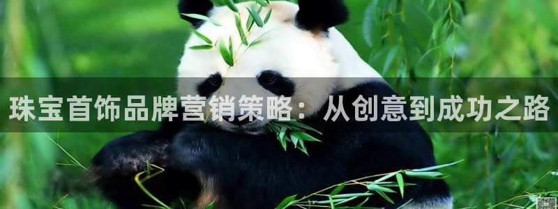 南京新航娱乐