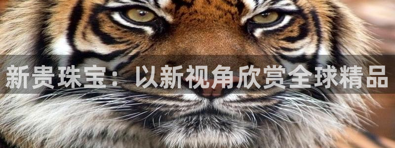 新航娱乐平台app下载