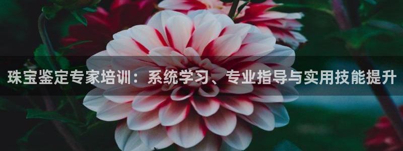 新航娱乐公司问题解决