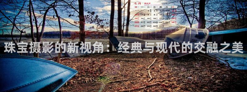 新航国际娱乐