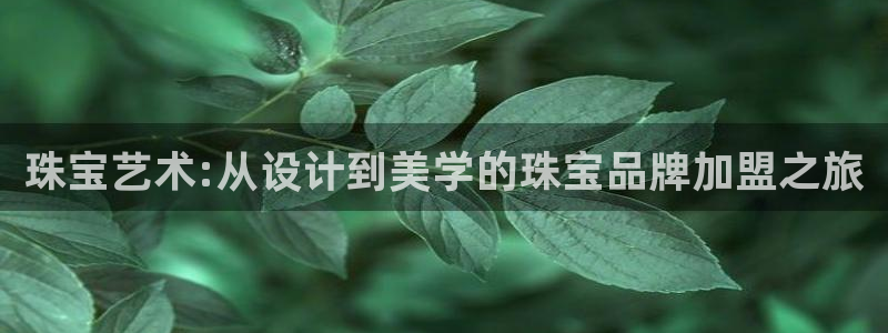 新航娱乐艺人