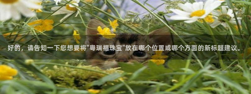新航娱乐传媒怎么样知乎