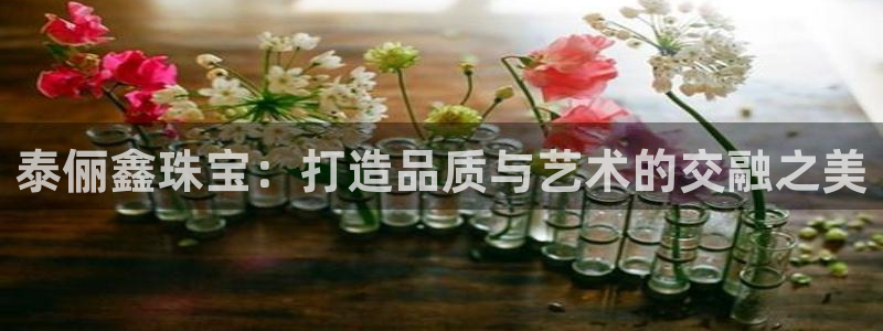 新航娱乐app官方下载：泰俪鑫珠宝：打造品质与艺术的交融之美