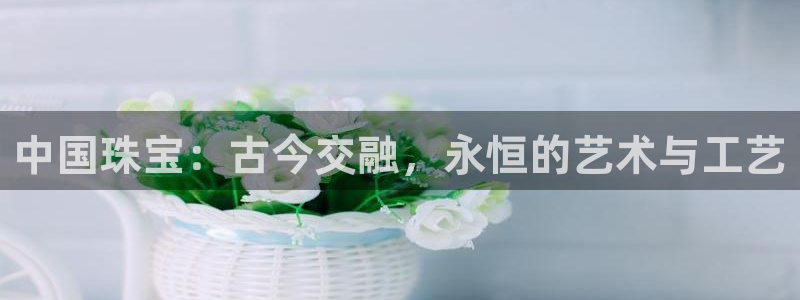 新航面试娱乐