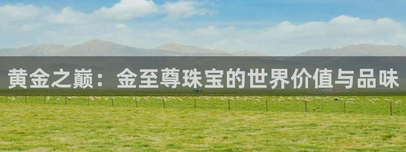 新航娱乐q被骗