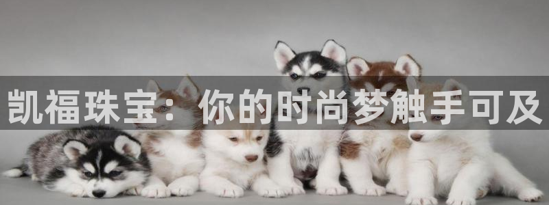 新航娱乐官方网站入口