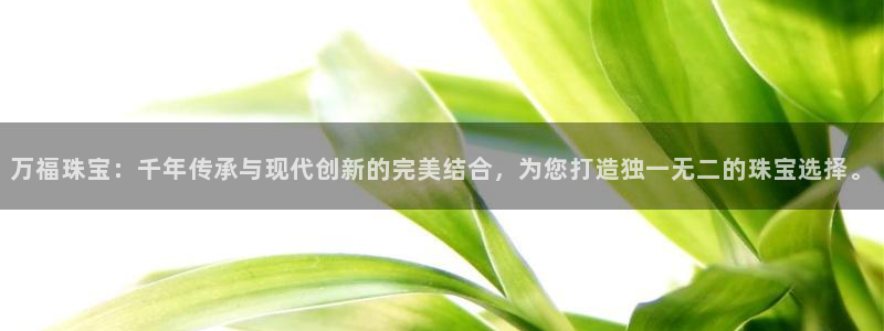 高州市新航线娱乐俱乐部